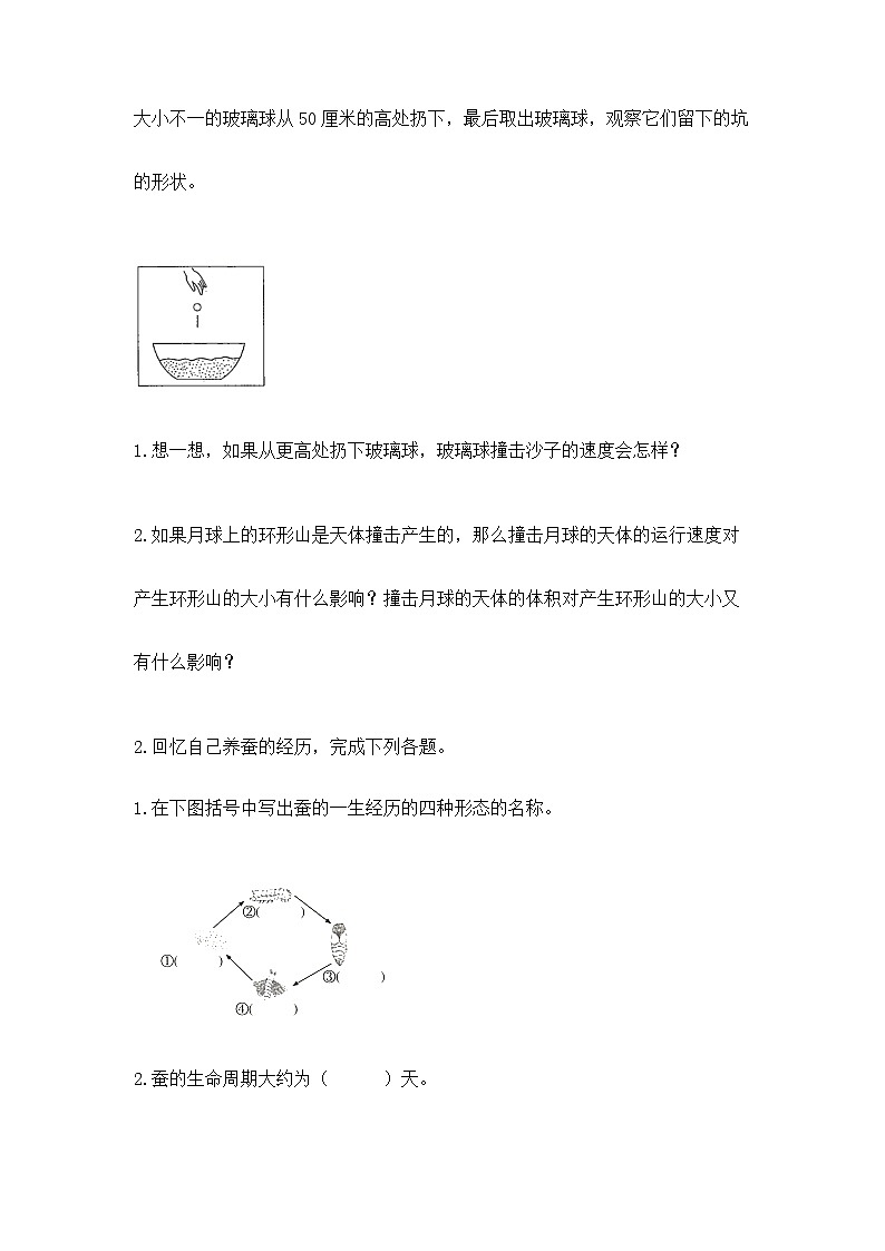 教科版三年级下册科学期末测试卷（真题汇编）第3页
