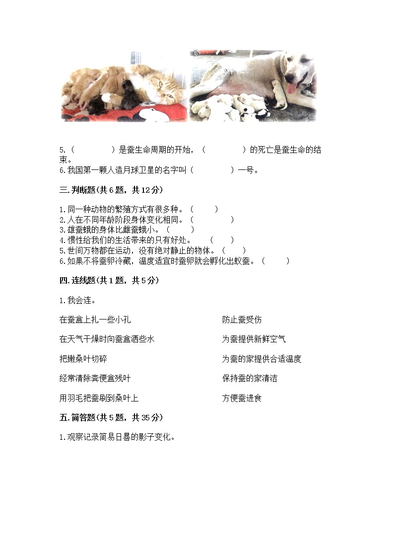 教科版三年级下册科学期末测试卷（全国通用）word版第2页