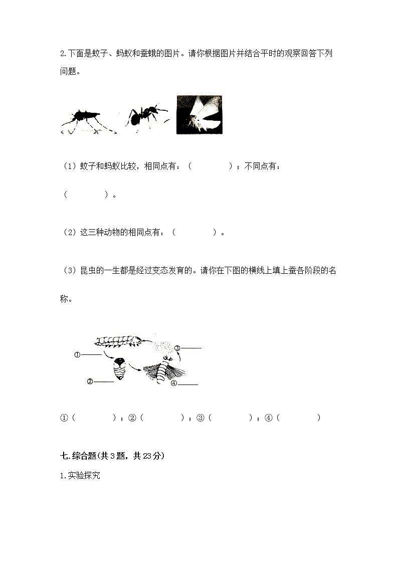 教科版三年级下册科学期末测试卷【黄金题型】第3页