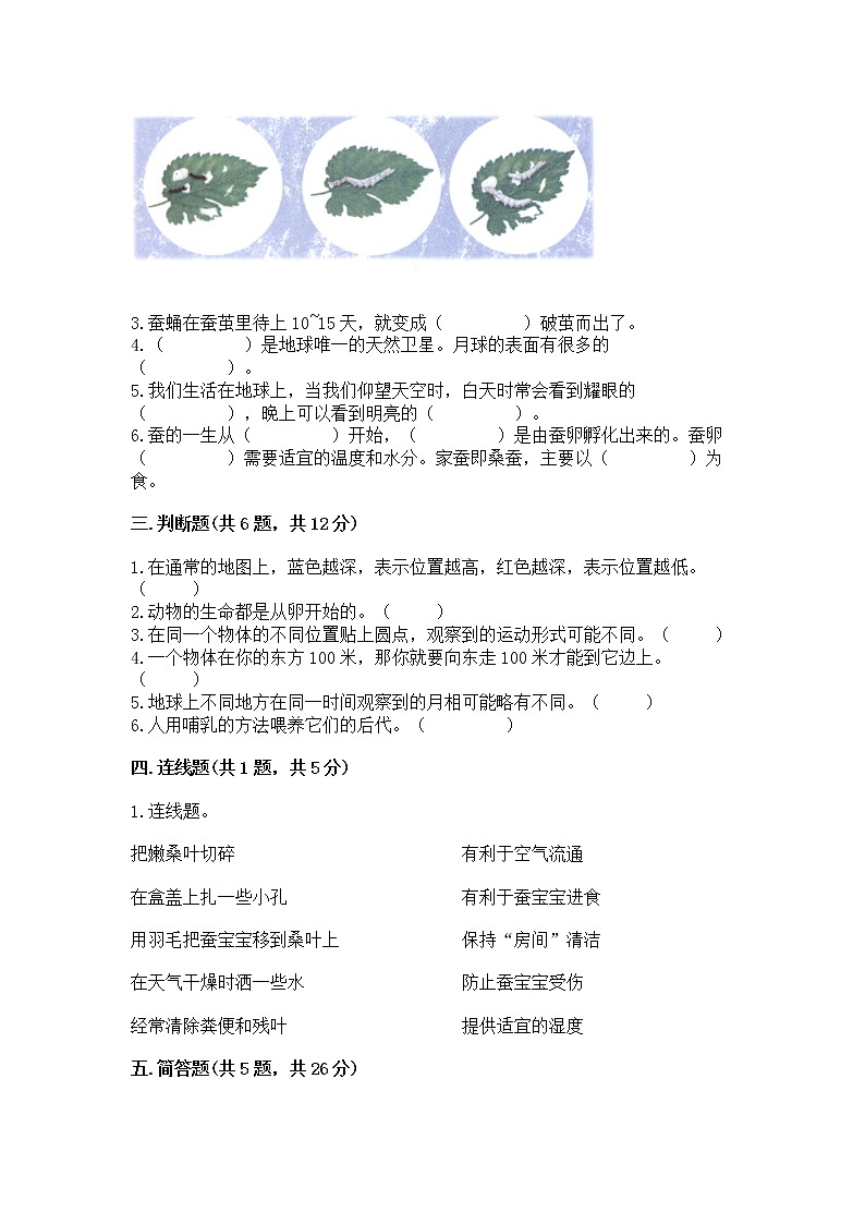 教科版三年级下册科学期末测试卷【巩固】第2页