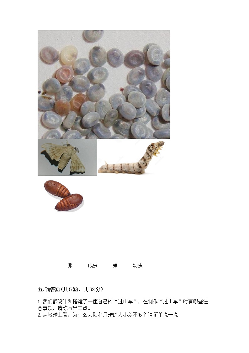 教科版三年级下册科学期末测试卷带答案（精练）第3页