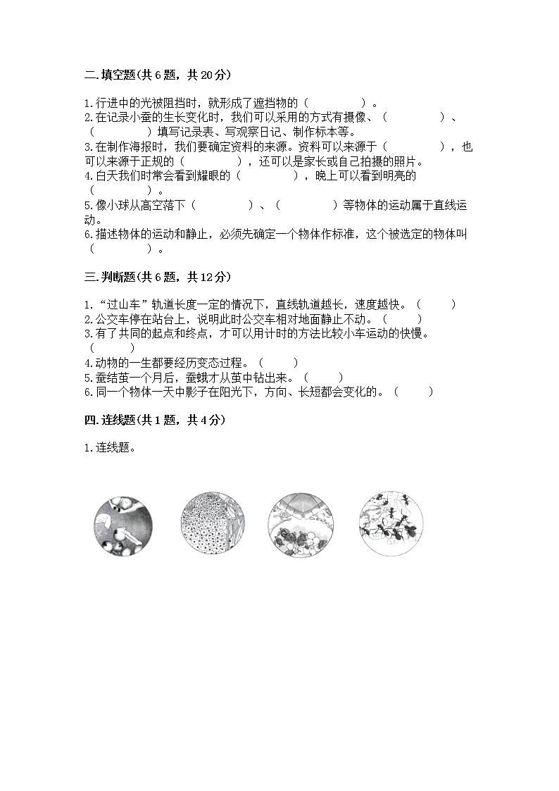 教科版三年级下册科学期末测试卷【基础题】第2页