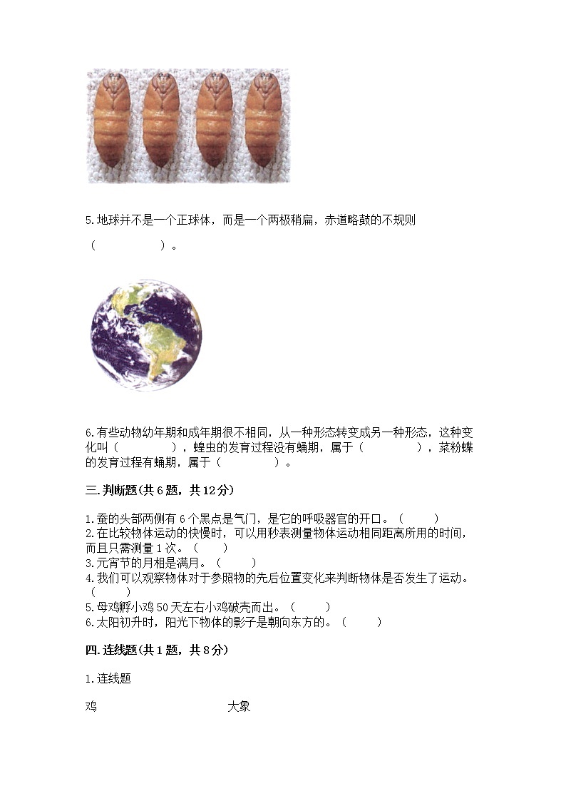 教科版三年级下册科学期末测试卷附答案（突破训练）第2页