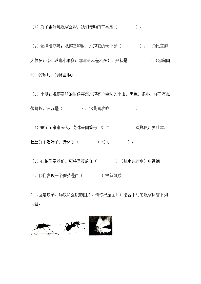 教科版三年级下册科学期末测试卷及答案（真题汇编）03