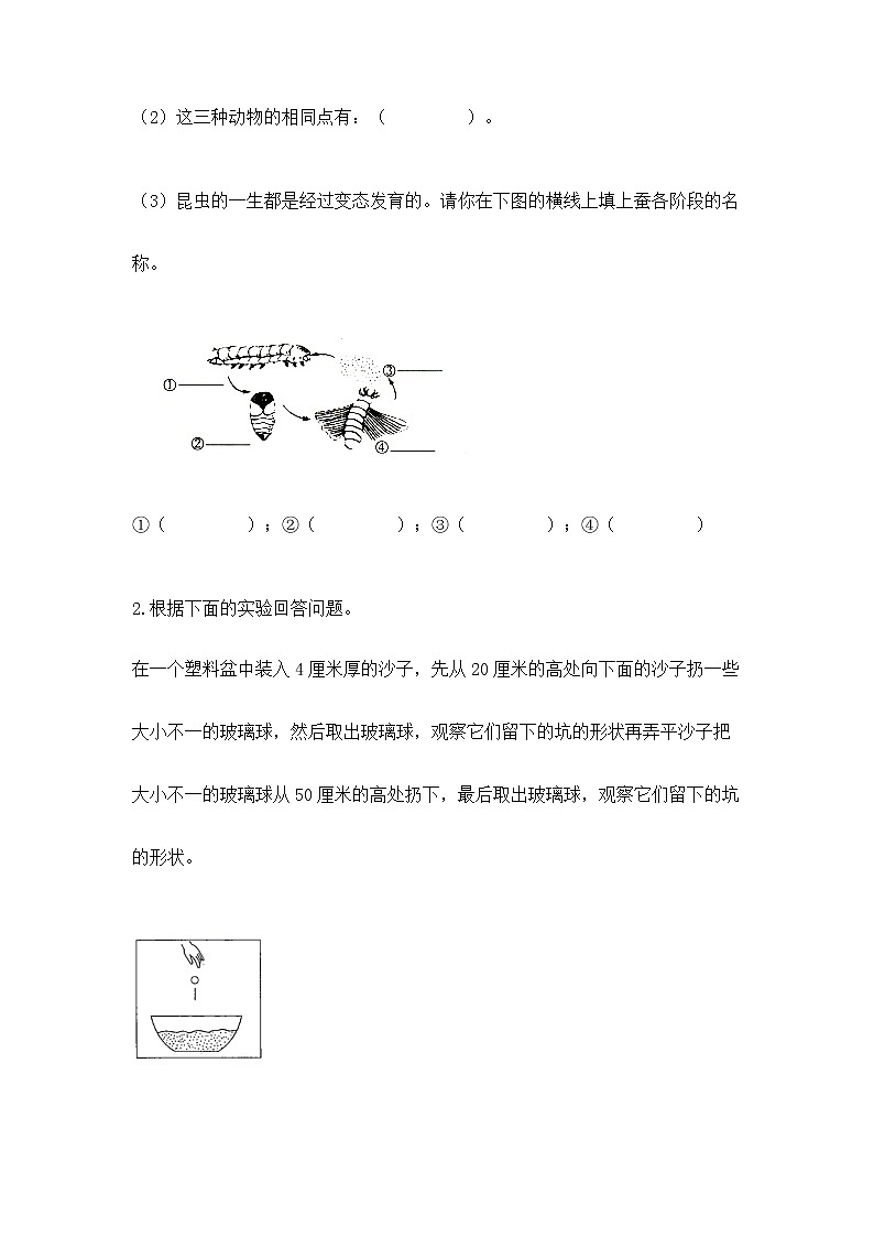 教科版三年级下册科学期末测试卷加答案（易错题）03