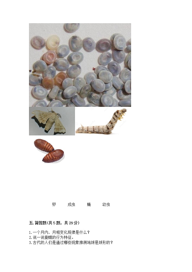教科版三年级下册科学期末测试卷【完整版】第3页