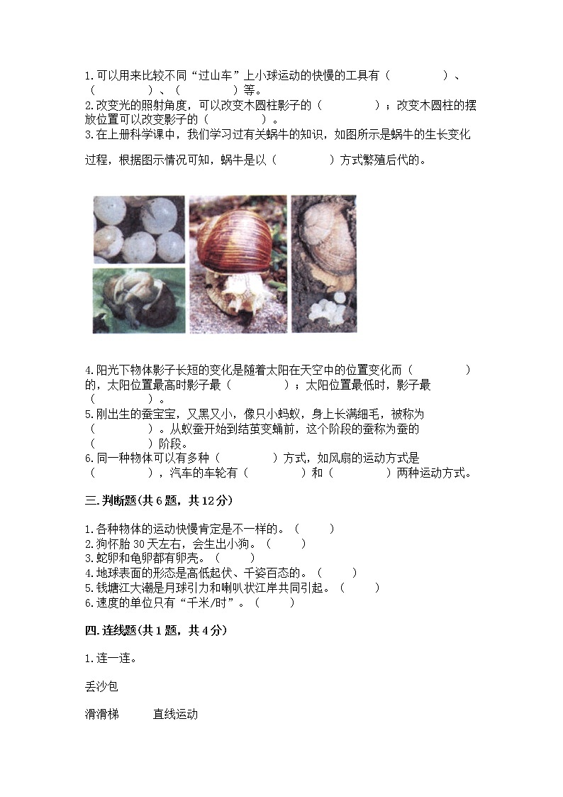 教科版三年级下册科学期末测试卷【培优B卷】第2页