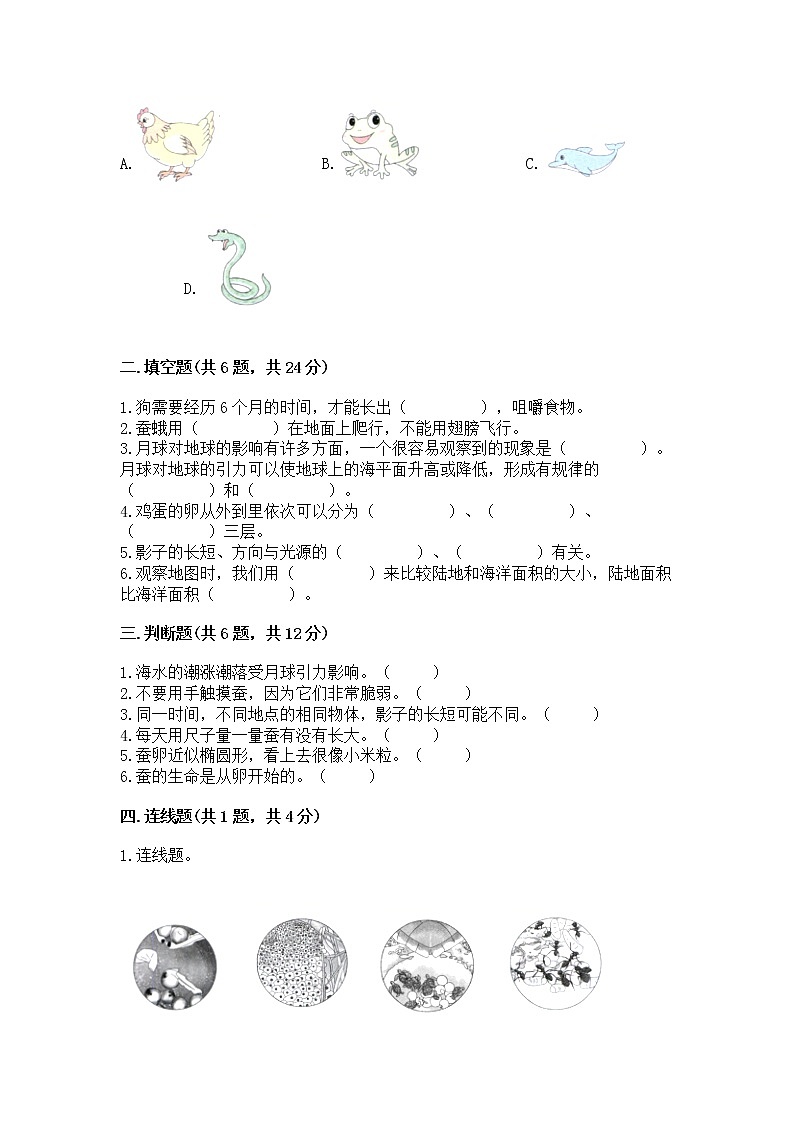 教科版三年级下册科学期末测试卷含答案（满分必刷）第2页