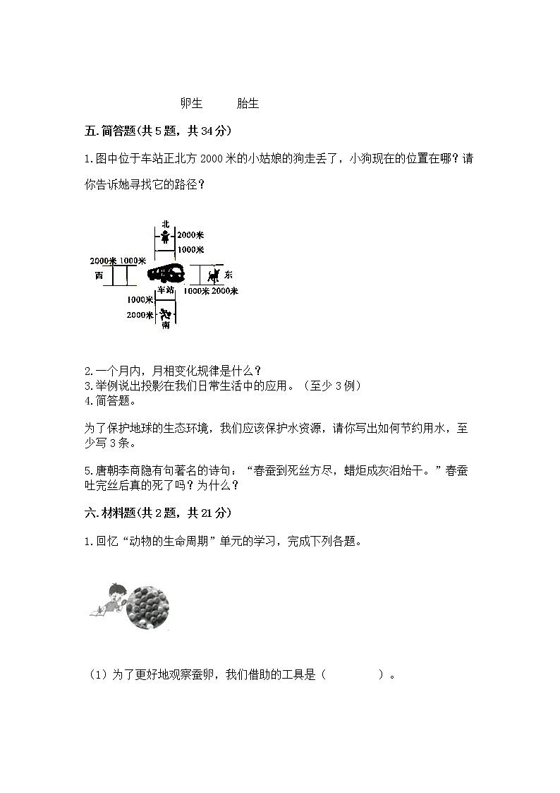 教科版三年级下册科学期末测试卷【名师系列】第3页