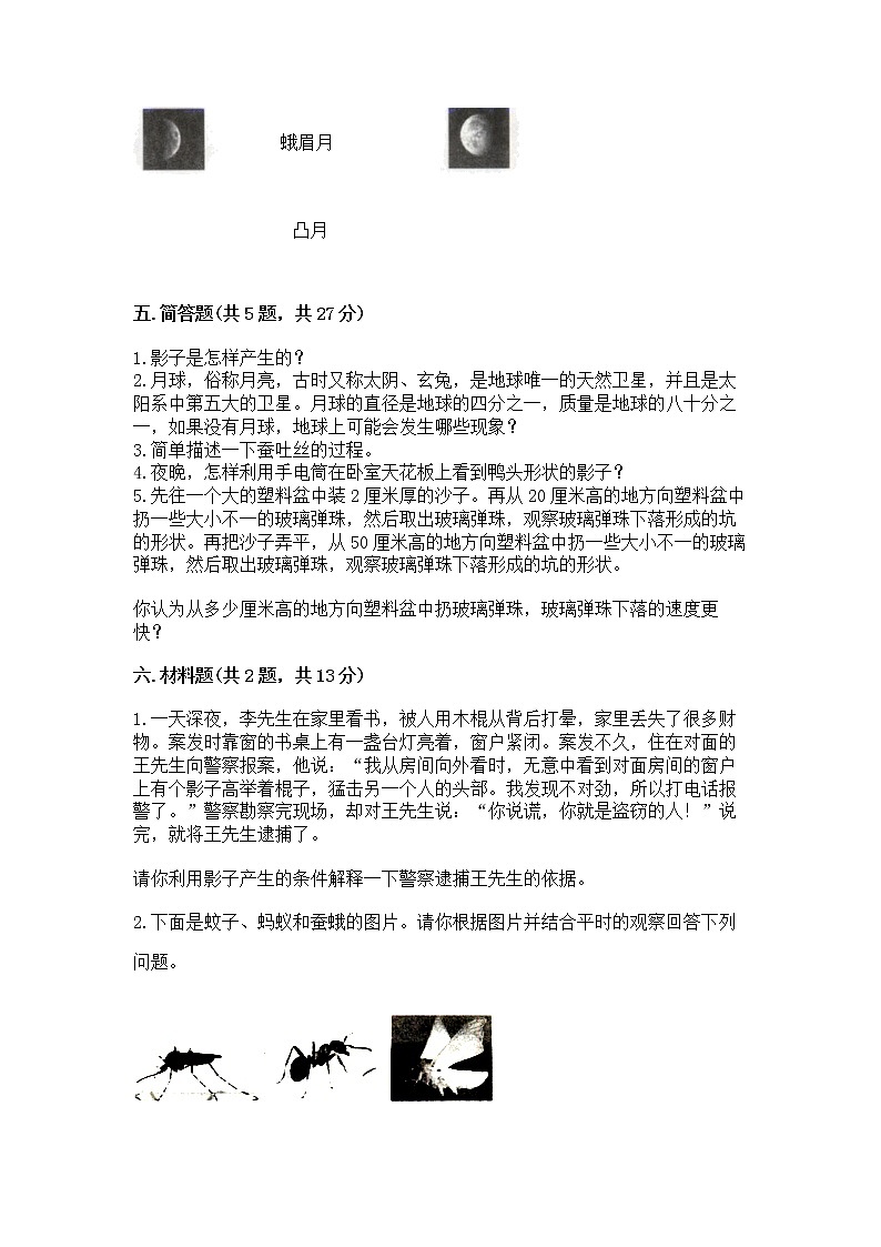 教科版三年级下册科学期末测试卷【精练】第3页