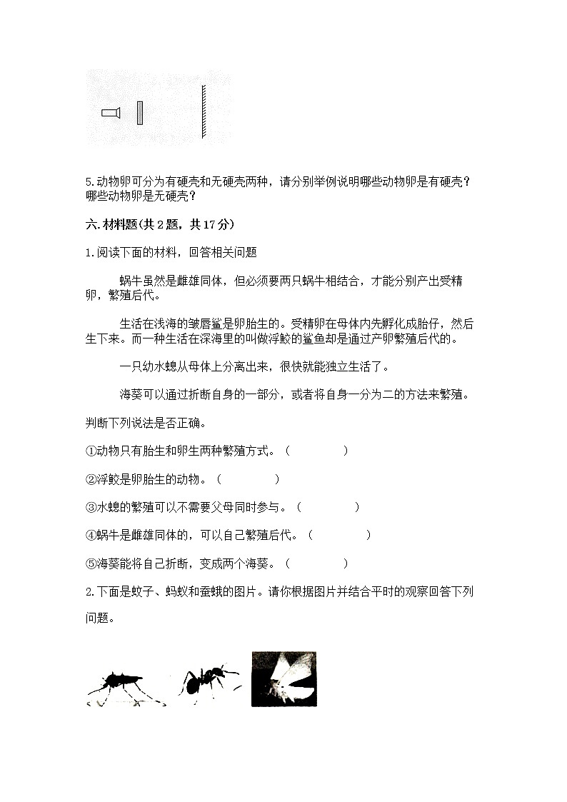 教科版三年级下册科学期末测试卷及参考答案【满分必刷】03