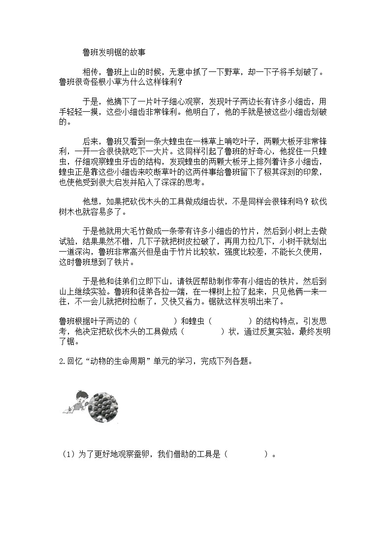 教科版三年级下册科学期末测试卷及完整答案（名校卷）第3页