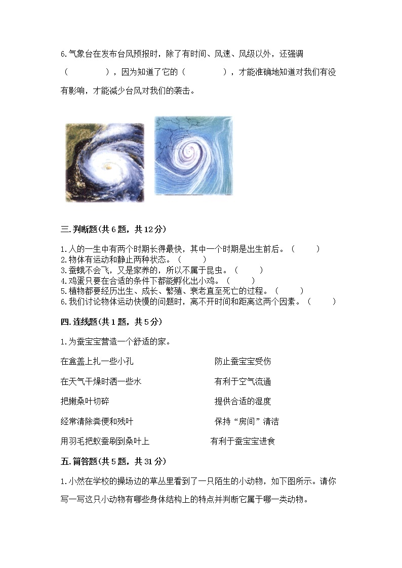 教科版三年级下册科学期末测试卷及参考答案（满分必刷）第2页