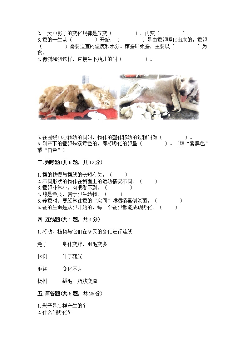 教科版三年级下册科学期末测试卷及答案【精选题】第2页