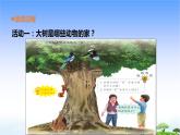 18.《动物的“家”》教学课件