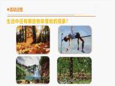 11.《地球引力》教学课件