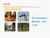 11.《地球引力》教学课件