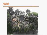 13.《地震》教學(xué)課件