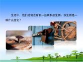 17.《鐵生銹》教學(xué)課件