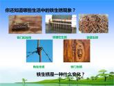17.《鐵生銹》教學(xué)課件