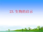 23.《生物的启示》教学课件