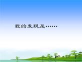23.《生物的启示》教学课件