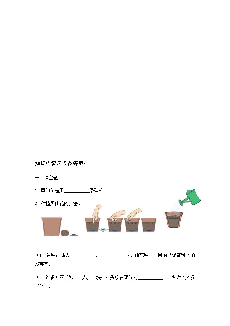 教科版（2017）科学《种植凤仙花》知识点及复习题（含答案）03