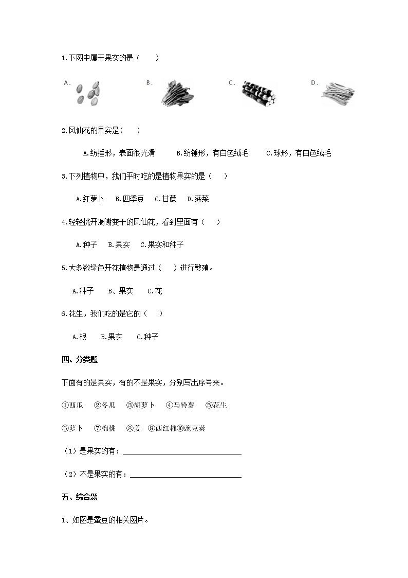 教科版（2017）科学《果实和种子》知识点及复习题（含答案）第3页