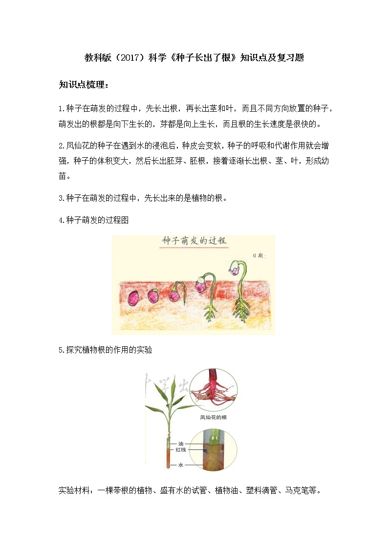 教科版（2017）科学《种子长出了根》知识点及复习题（含答案）01
