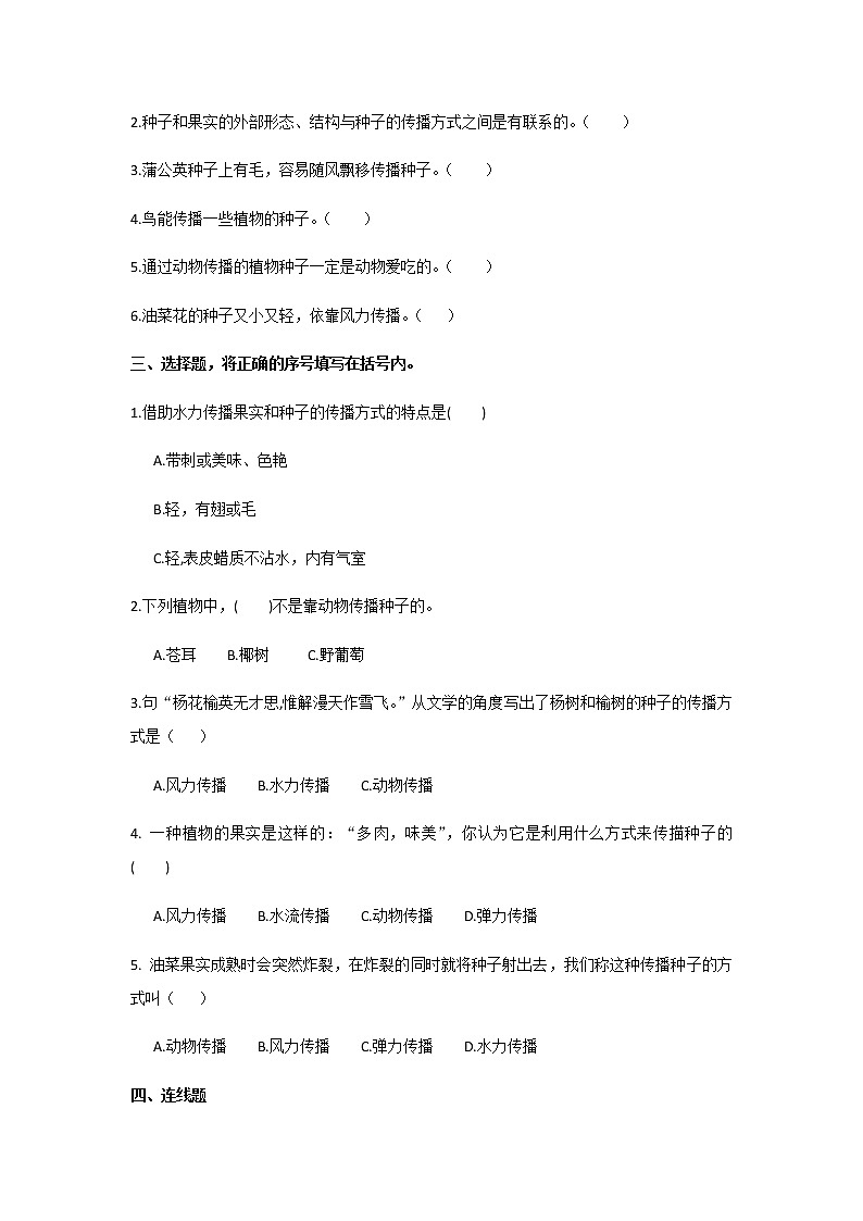 教科版（2017）科学《种子的传播》知识点及复习题（含答案）03