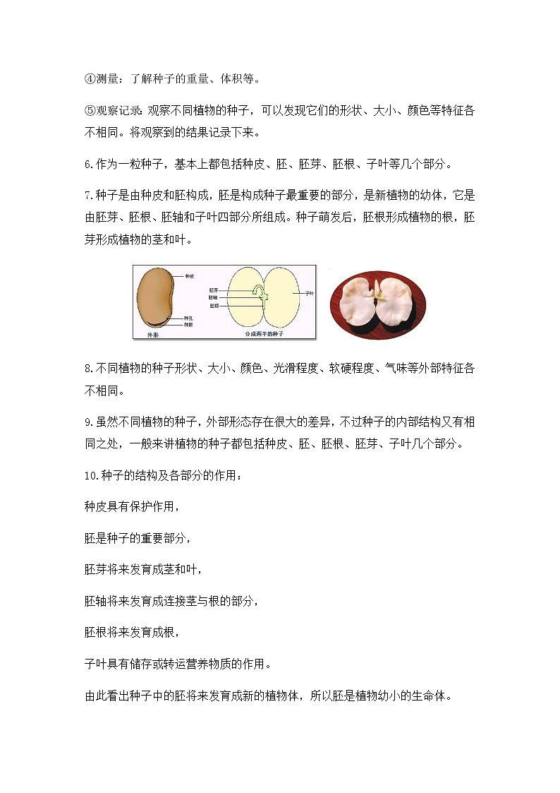 教科版（2017）科学《种子里孕育着新生命》知识点及复习题（含答案）02