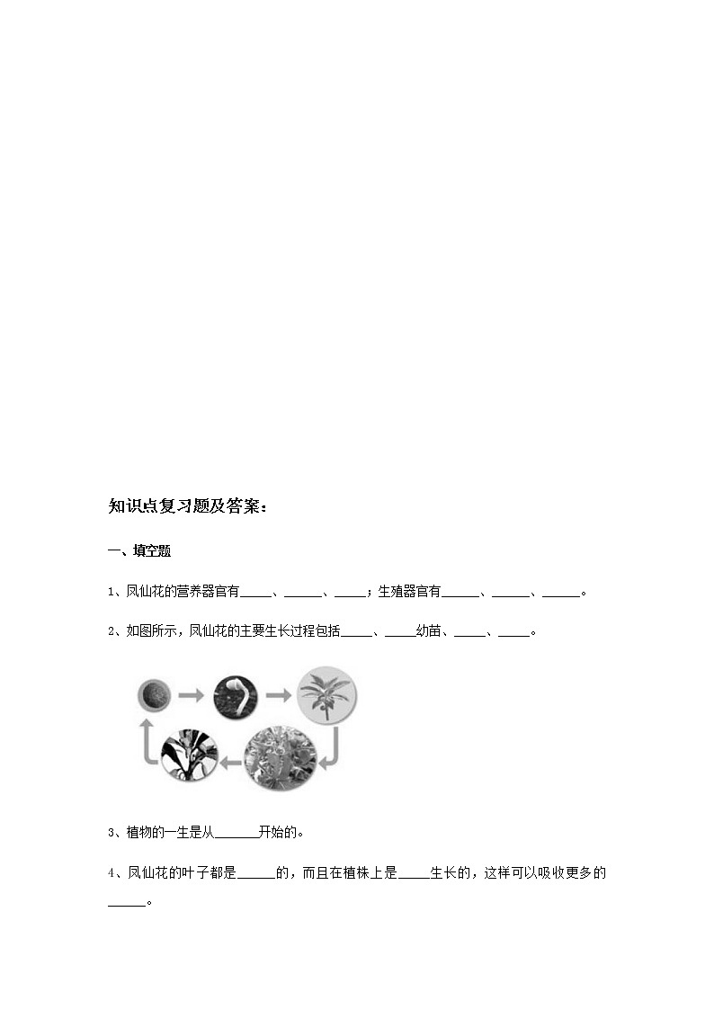教科版（2017）科学《凤仙花的一生》知识点及复习题（含答案）03