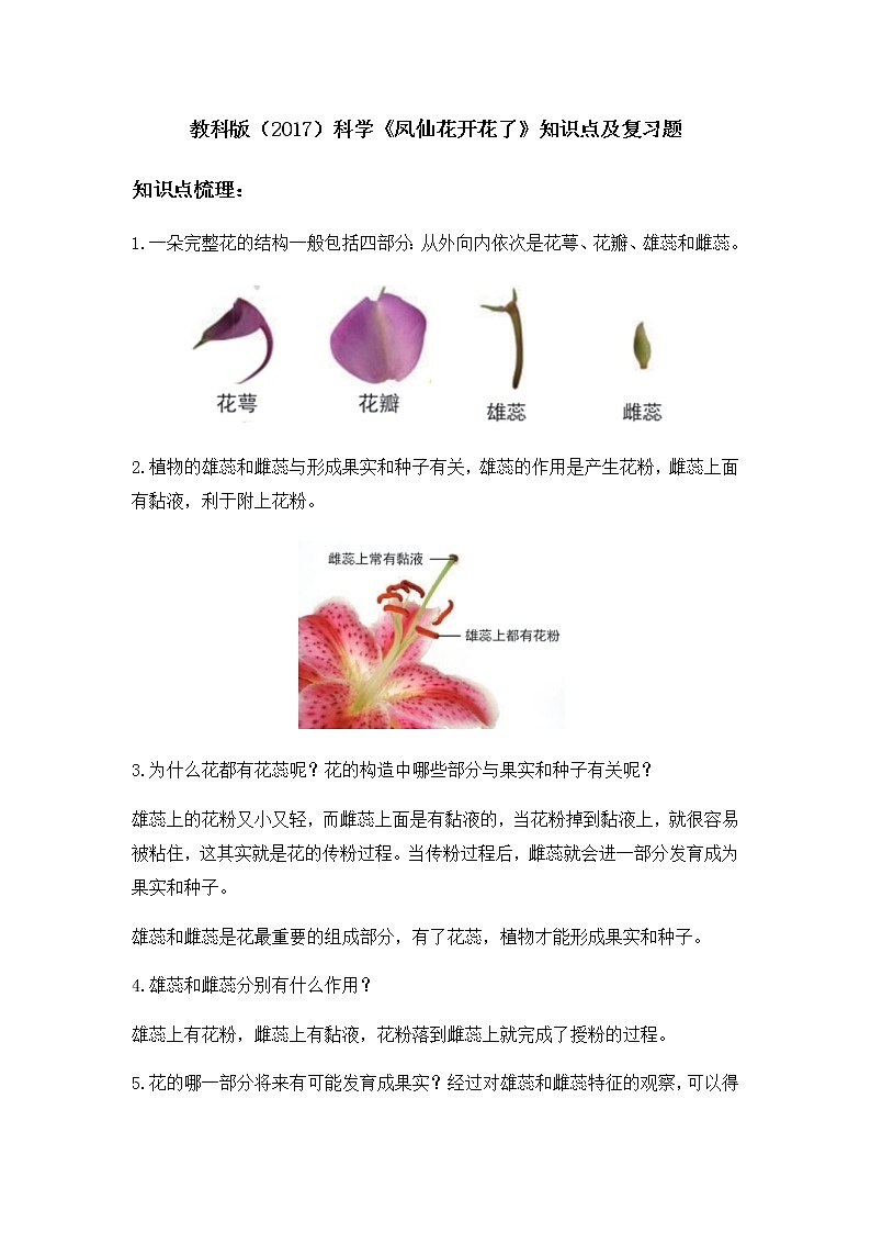 教科版（2017）科学《凤仙花开花了》知识点及复习题(含答案）01