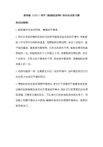 教科版 (2017)五年级下册4.蚯蚓的选择综合训练题