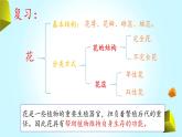 大象版小学三年级科学下册3.5硕果累累教学PPT课件