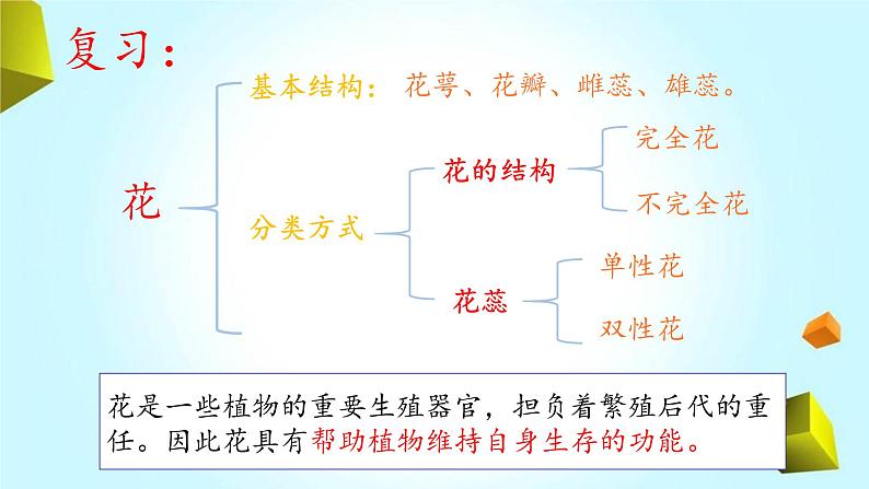 大象版小学三年级科学下册3.5硕果累累教学PPT课件03