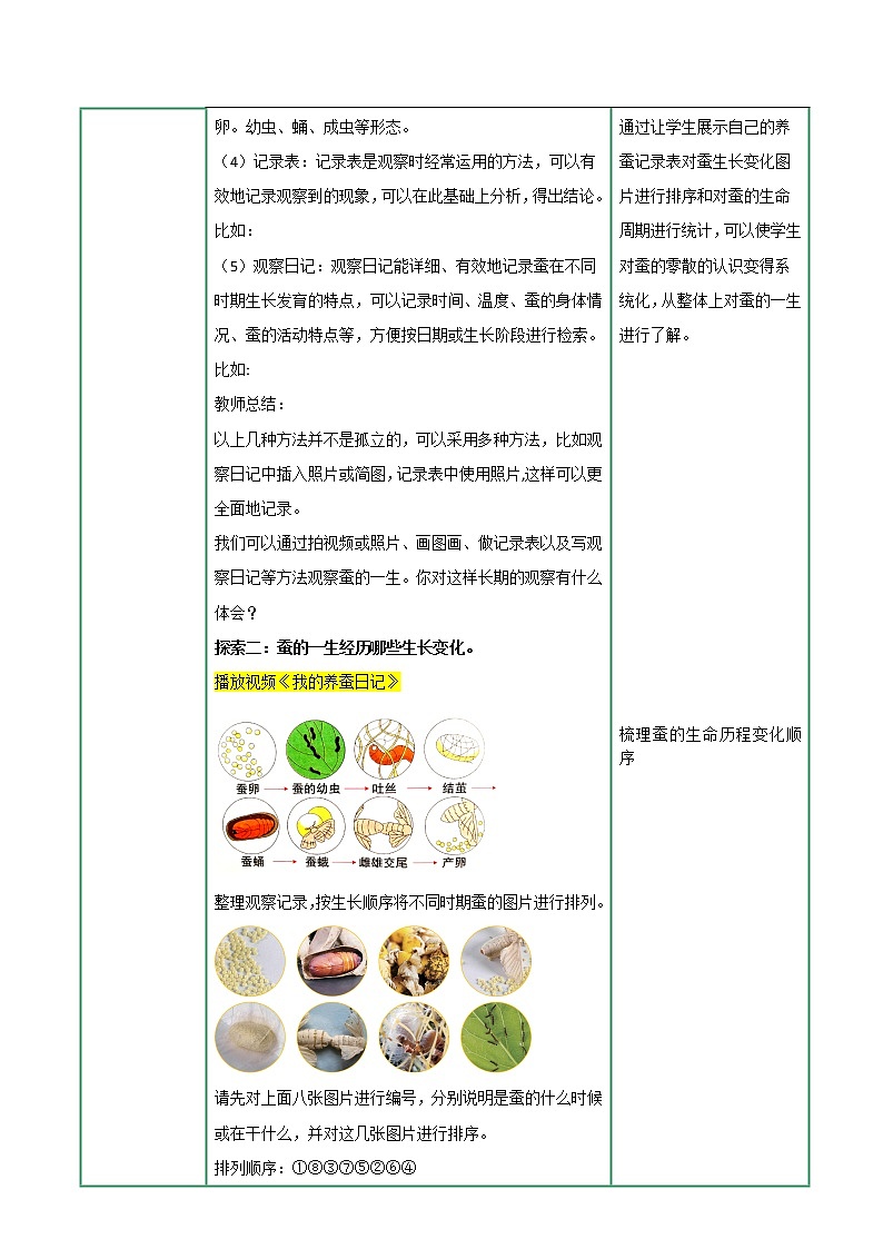 教科版科学三年级2.6《蚕的一生》课件+教案+视频02