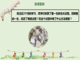 教科版科学三年级2.6《蚕的一生》课件+教案+视频