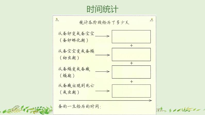 教科版科学三年级2.6《蚕的一生》课件+教案+视频08