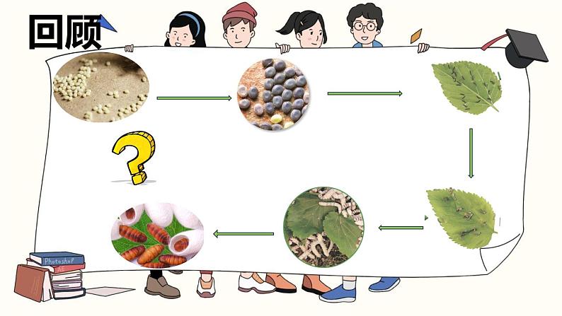 教科版科学三年级2.5《茧中钻除了蚕蛾》课件+教案+视频01