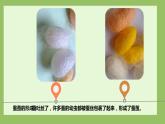 教科版科学三年级2.4《蚕变了新模样》课件+教案+视频