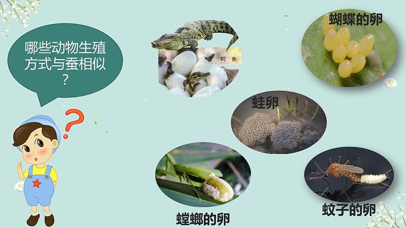 2.7《动物的繁殖》课件第4页