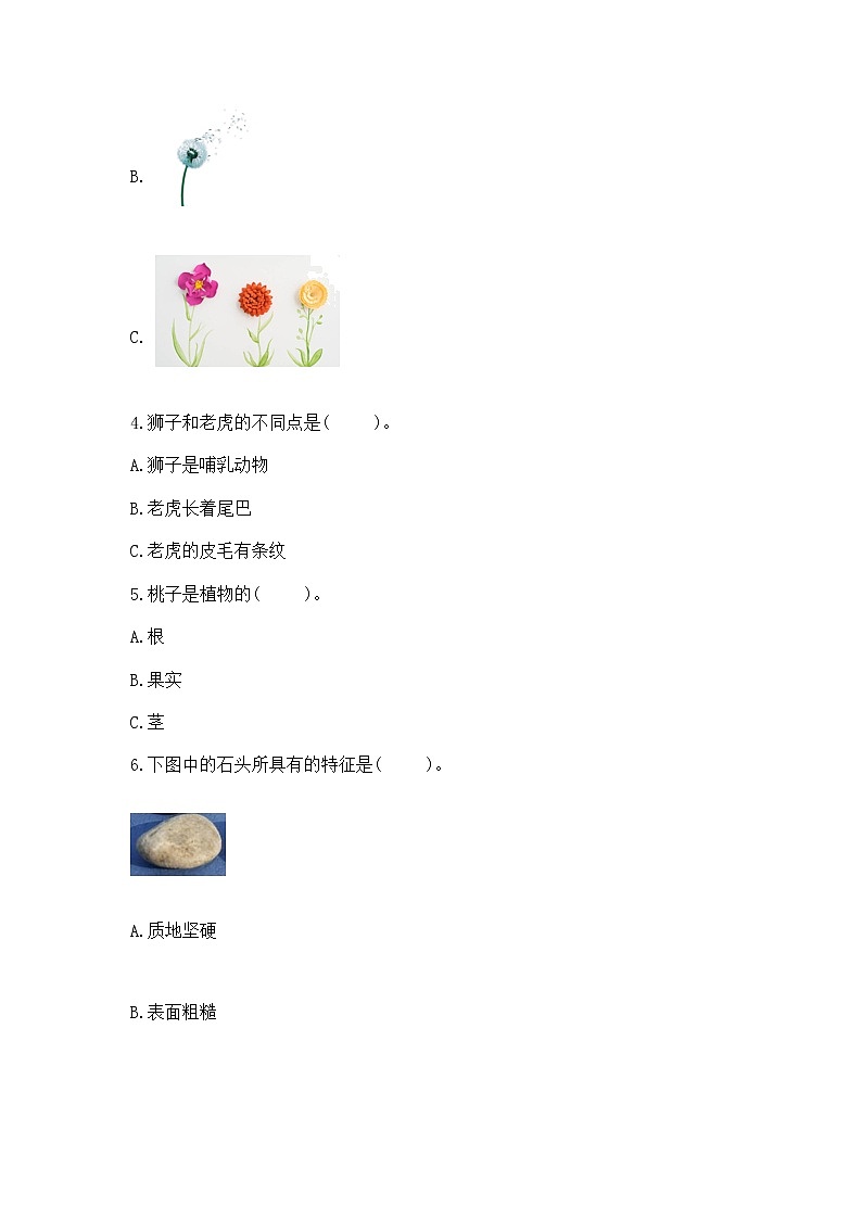 苏教版小学一年级下册科学《期末测试卷》及答案【易错题】02