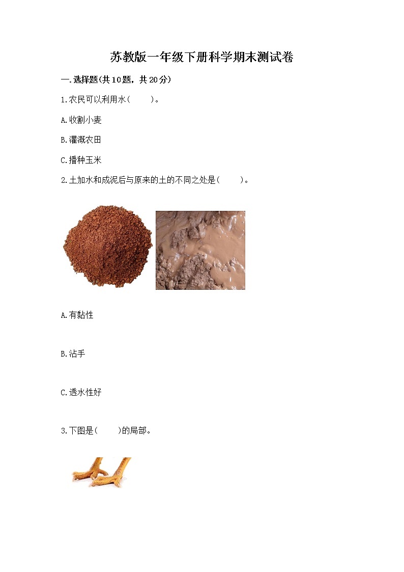 苏教版一年级下册科学期末测试卷含完整答案（考点梳理）第1页