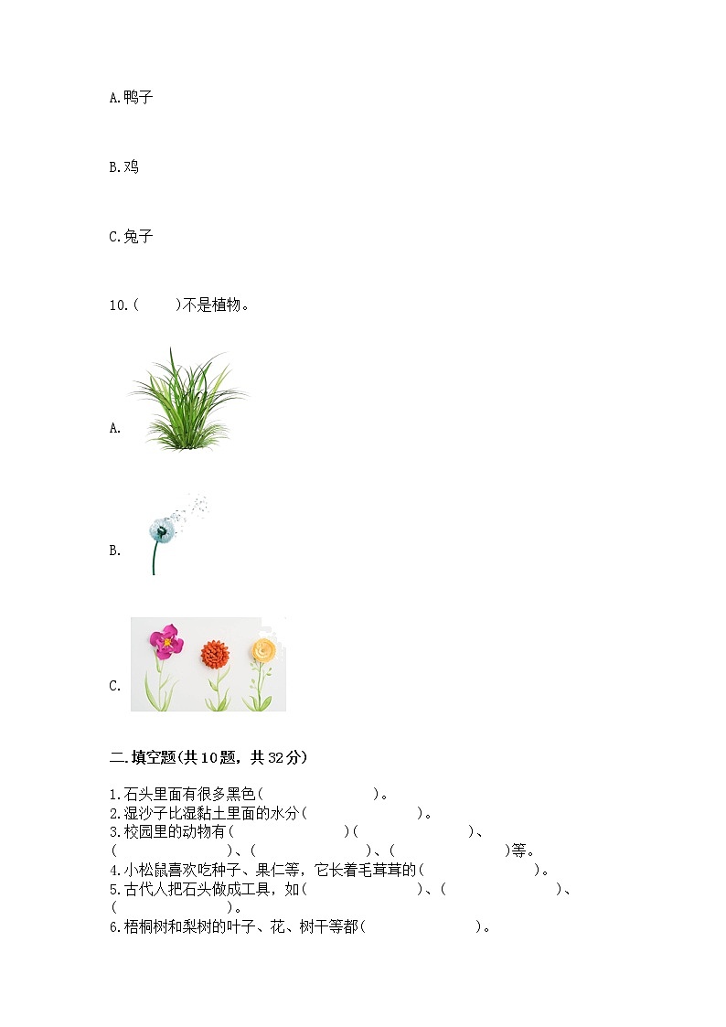 苏教版一年级下册科学期末测试卷加答案（达标题）第3页
