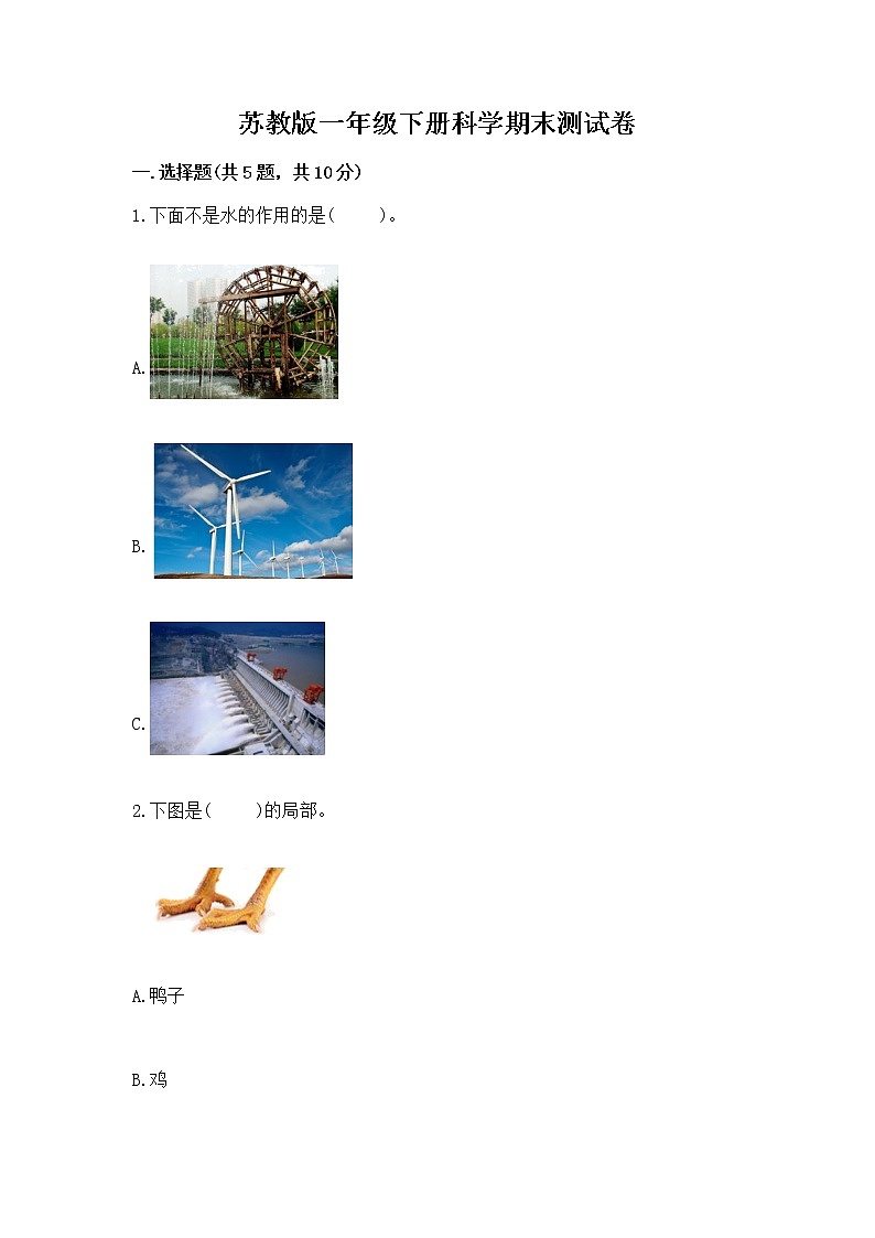 苏教版一年级下册科学期末测试卷（易错题）word版01