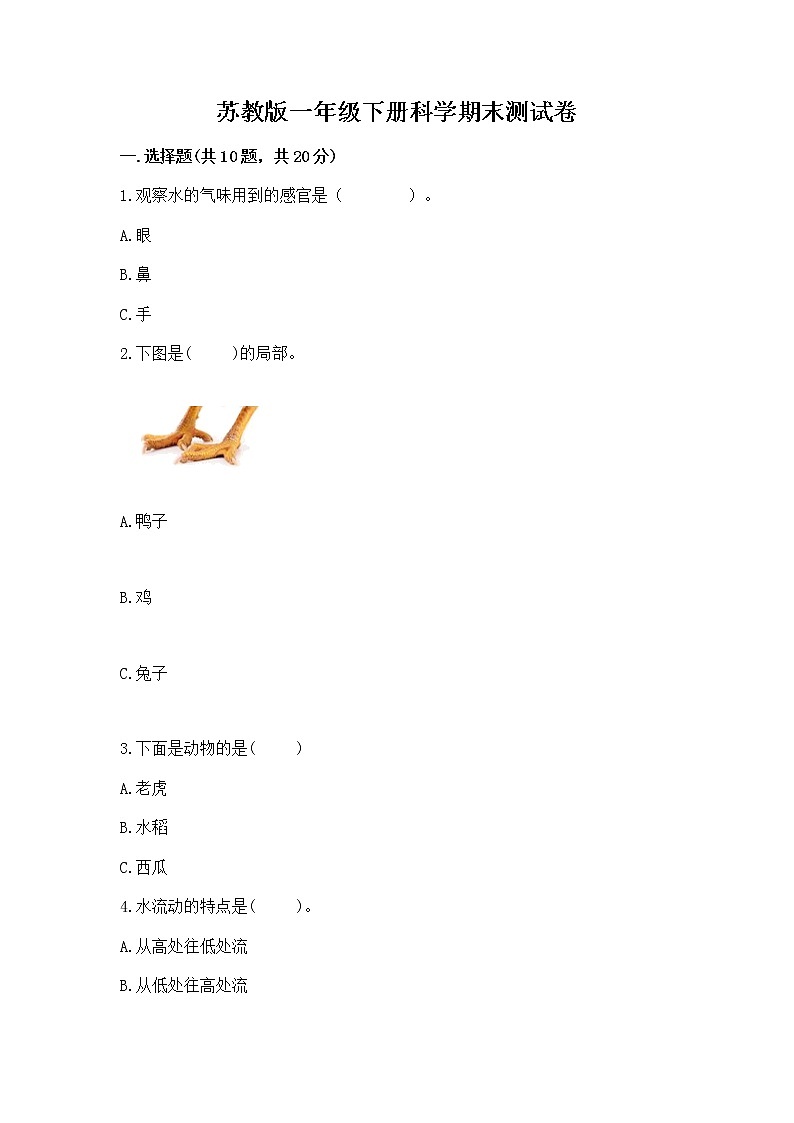 苏教版一年级下册科学期末测试卷（能力提升）第1页