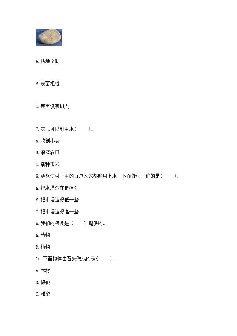 苏教版一年级下册科学期末测试卷（B卷）第2页