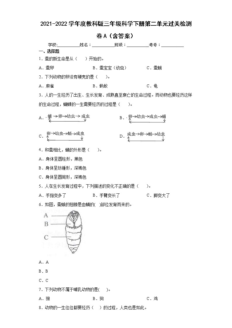 2021-2022学年度教科版三年级科学下册第二单元过关检测卷A（含答案）01