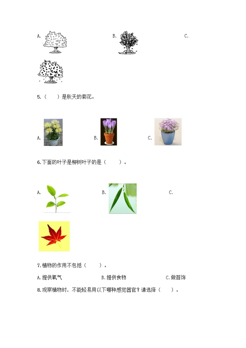 新教科版科学一年级上册第一单元 植物 测试卷【精品】 (2)02